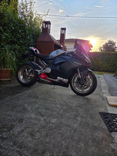 Ducati Panigale V2 (2021 - 24) usata