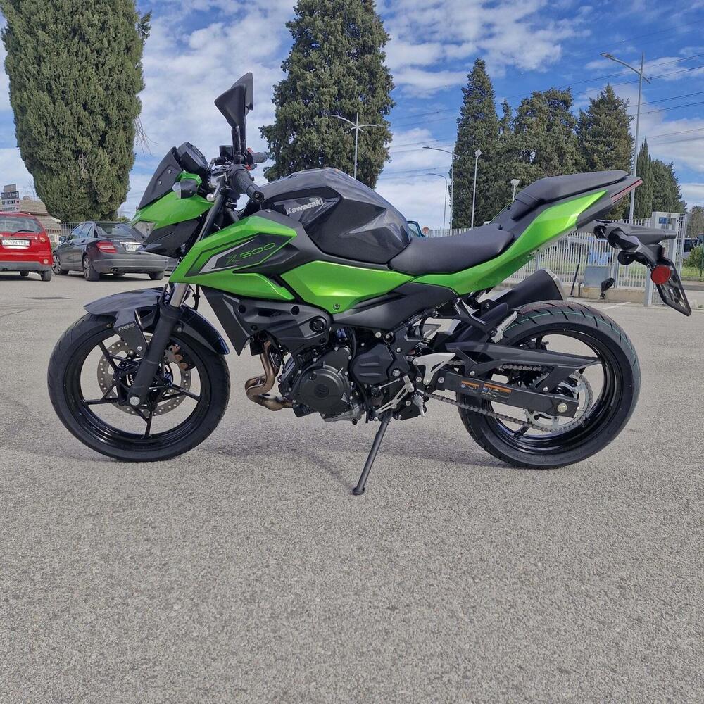 Kawasaki Z 500 (2024 - 26) (4)