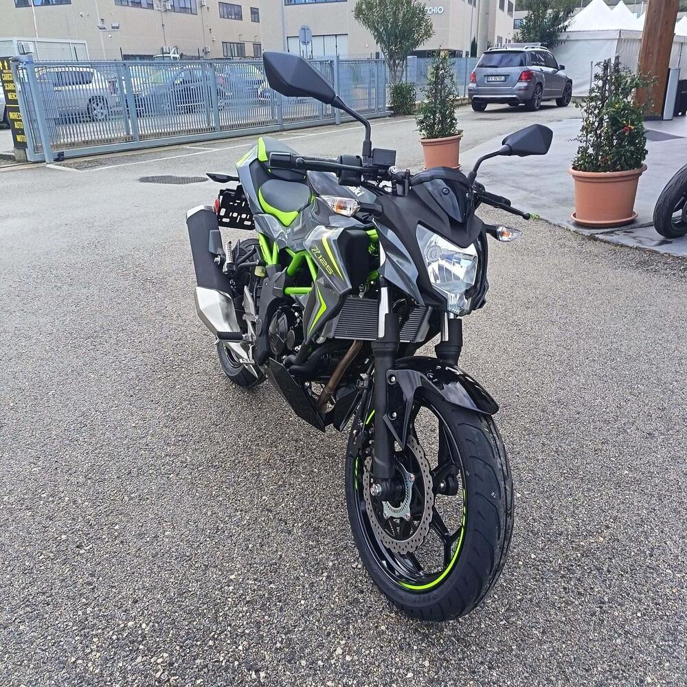 Kawasaki Z 125 (2025 - 26) (7)