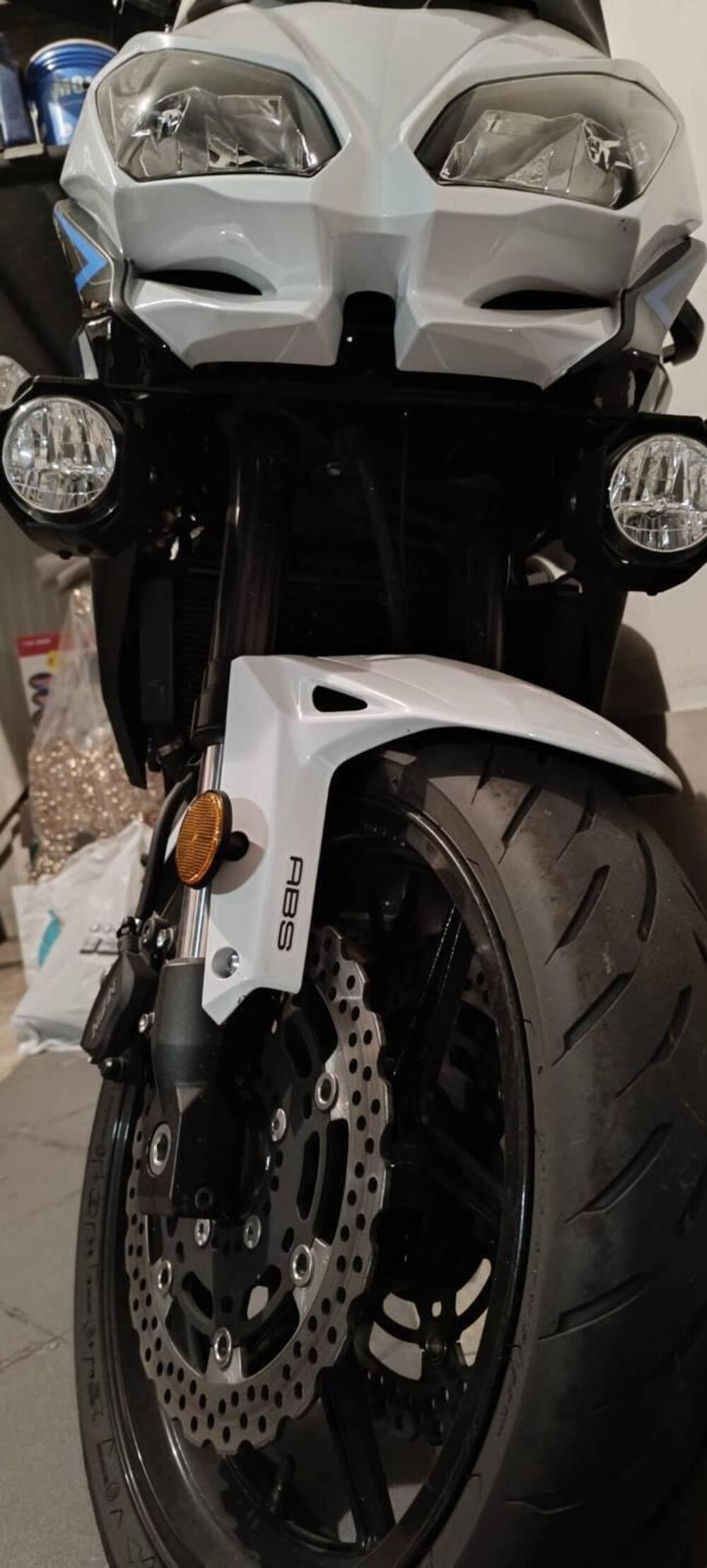 Kawasaki Versys 650 (2021 - 24) (2)