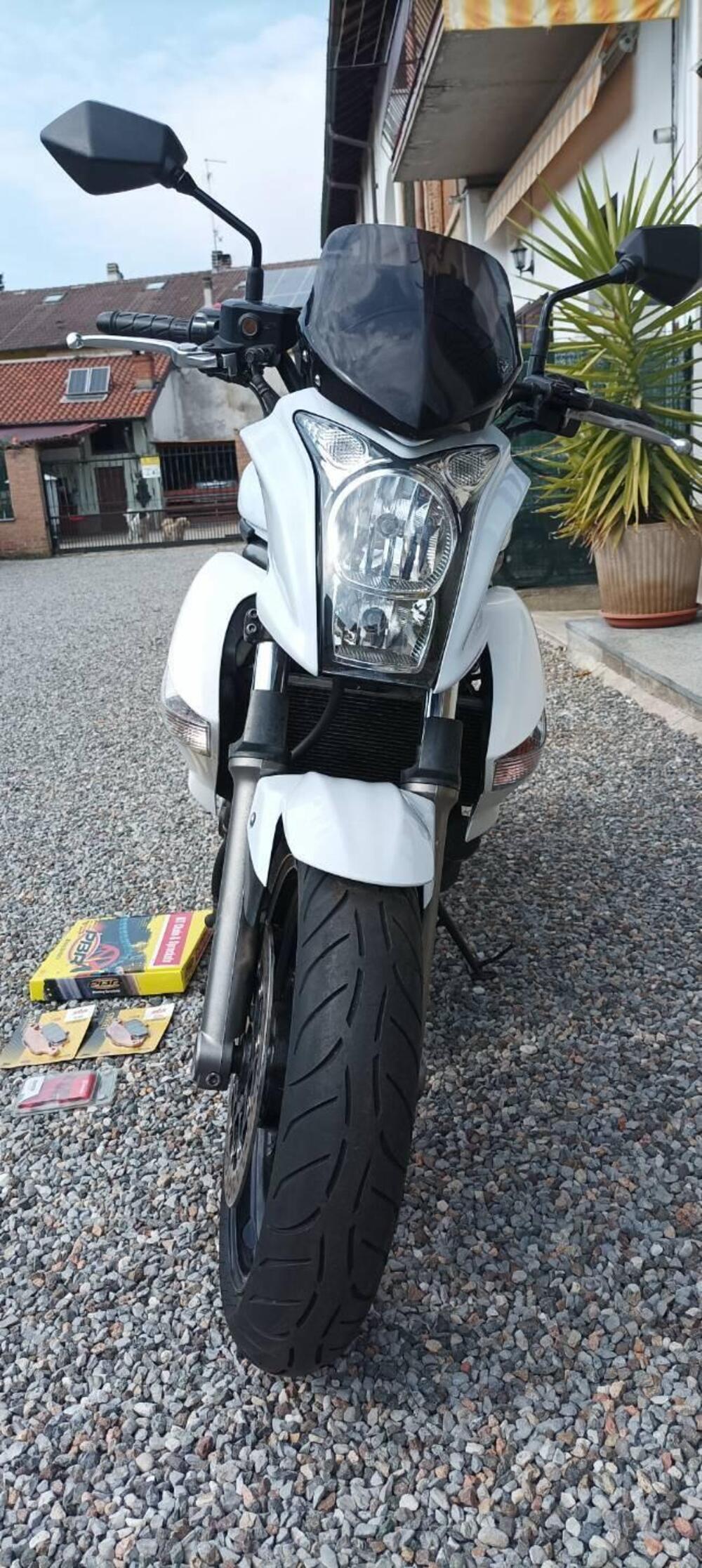 Kawasaki ER-6N (2009 - 11) (3)