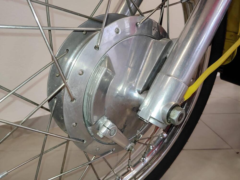 Ducati scrambler (4)