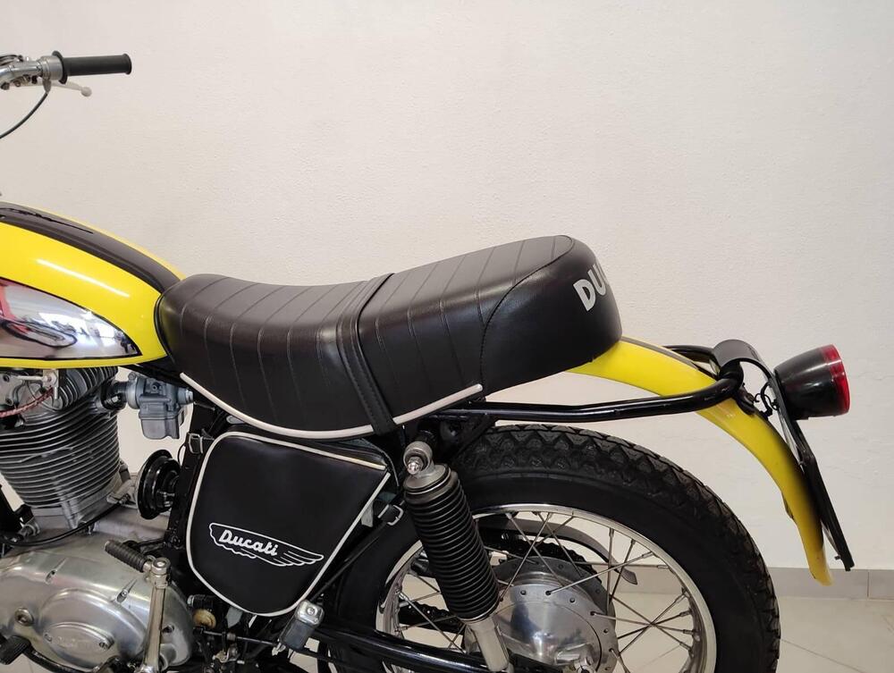 Ducati scrambler (3)