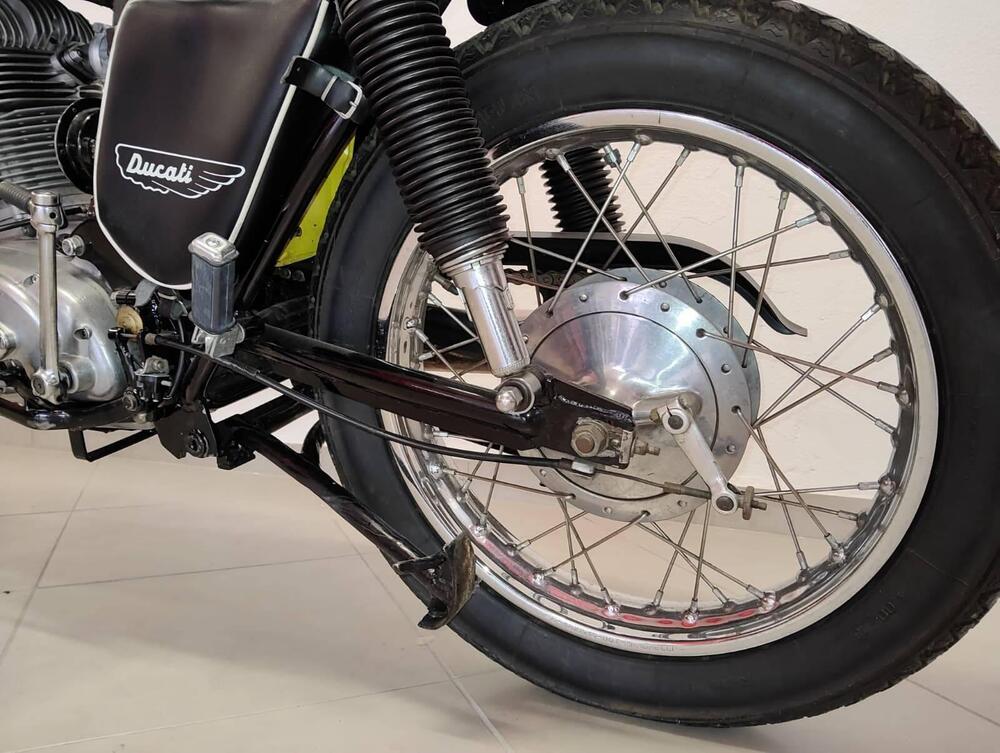 Ducati scrambler (5)