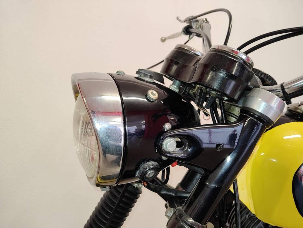 Ducati scrambler (7)