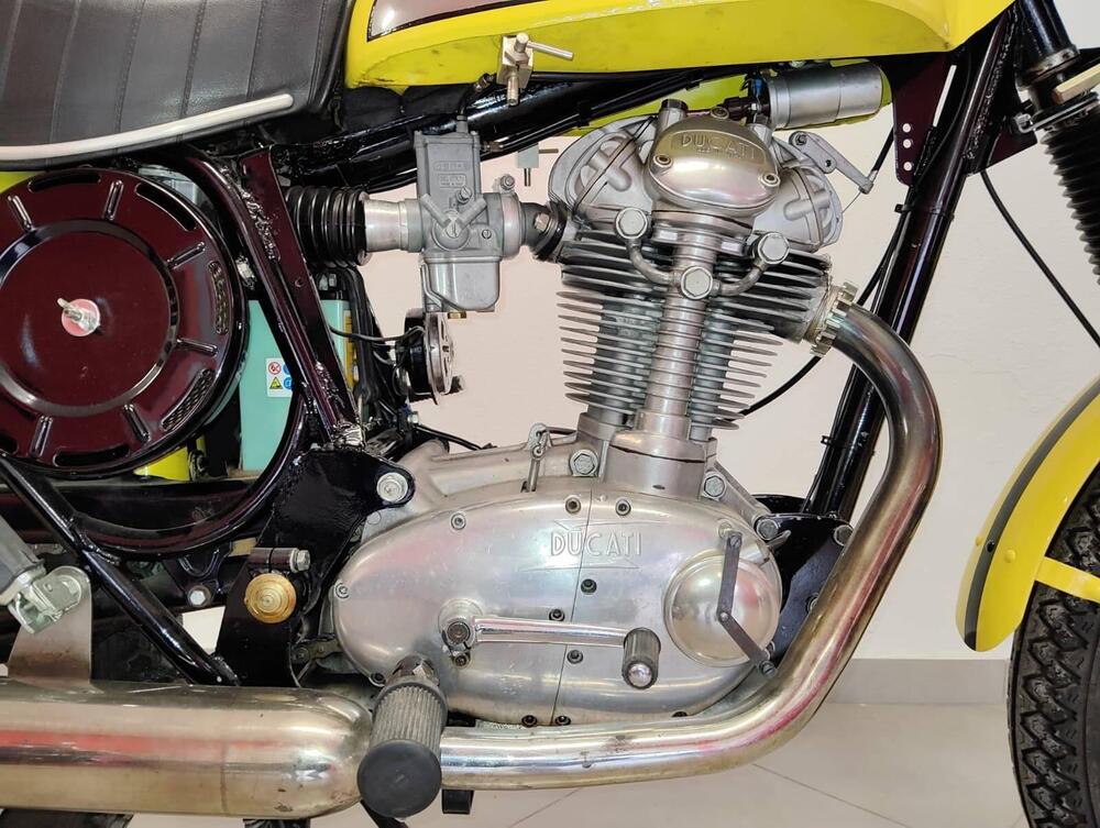 Ducati scrambler (10)