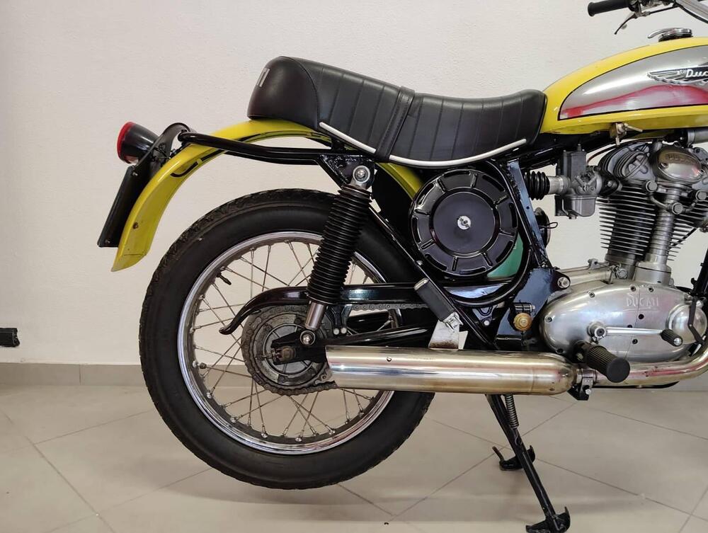 Ducati scrambler (8)