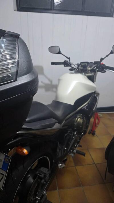 Yamaha XJ6 (2008 - 15) usata