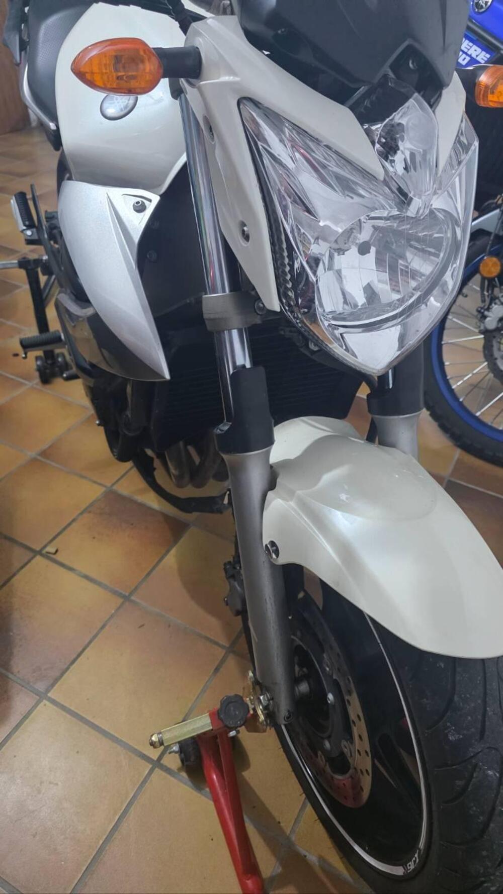 Yamaha XJ6 (2008 - 15) (6)