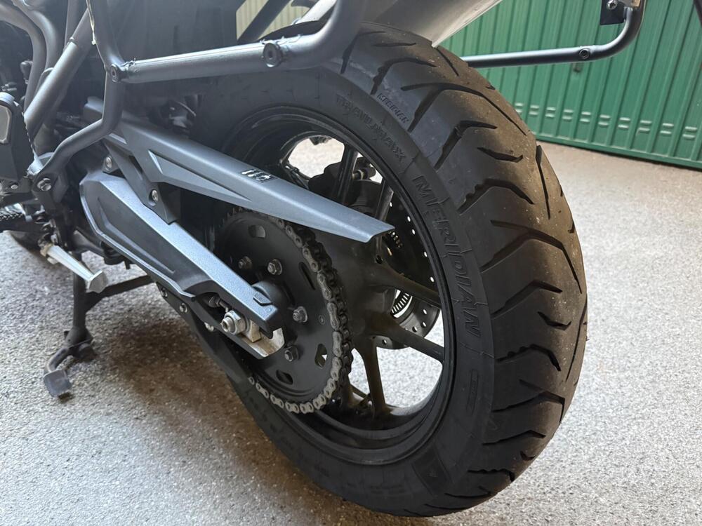 Triumph Tiger 800 XR (2017 - 18) (9)