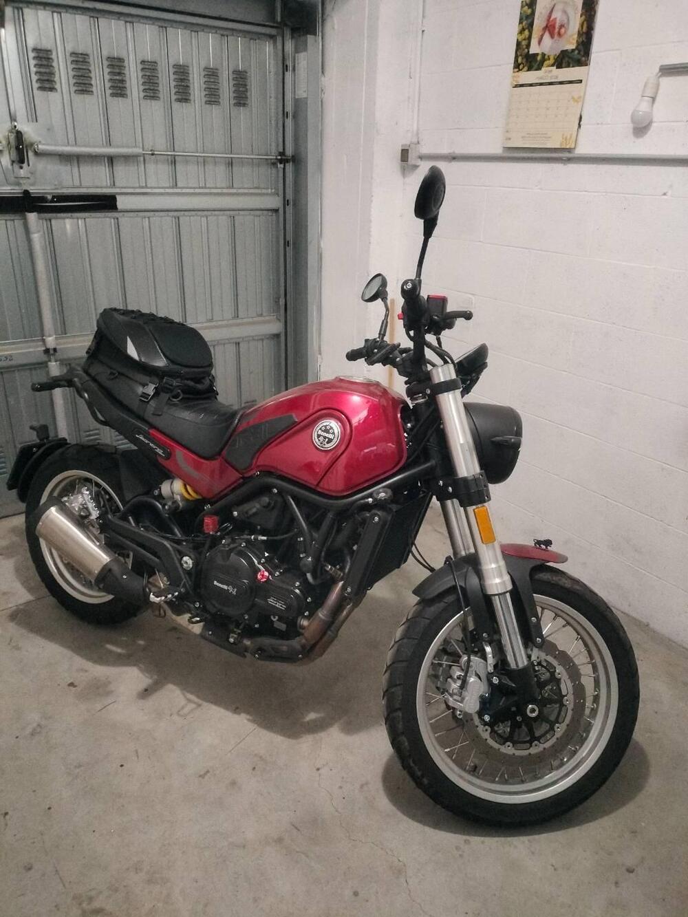 Benelli Leoncino 500 Trail (2021 - 26) (4)