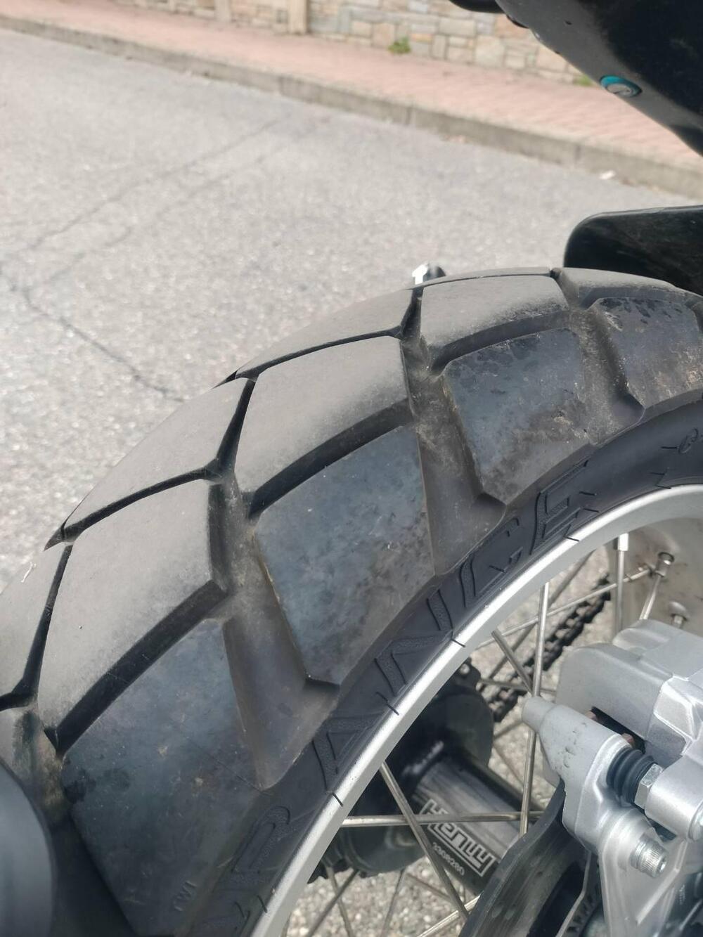 Benelli Leoncino 500 Trail (2021 - 26) (7)