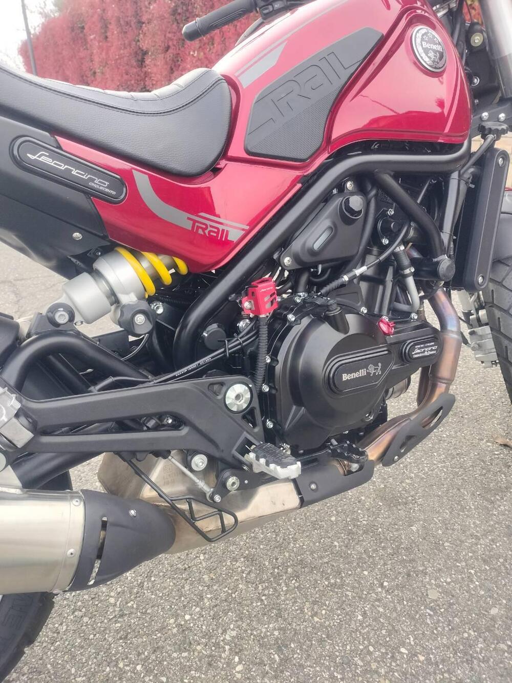 Benelli Leoncino 500 Trail (2021 - 26) (5)