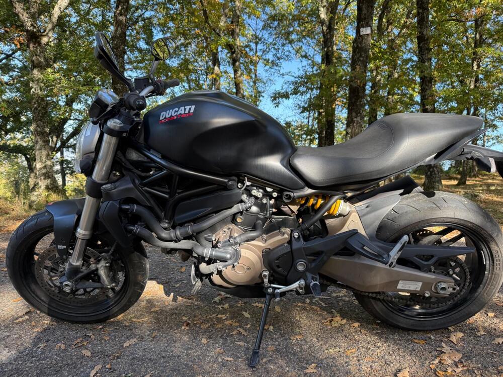 Ducati Monster 821 Dark ABS (2014 - 16) (3)