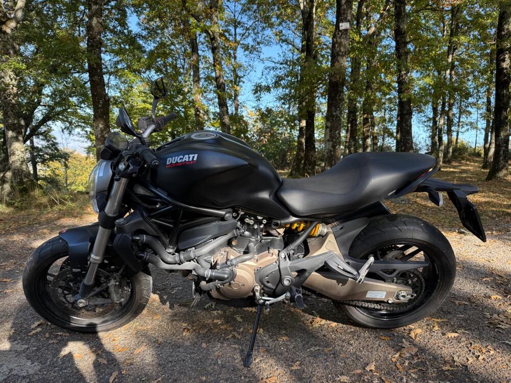 Ducati Monster 821 Dark ABS (2014 - 16) (5)