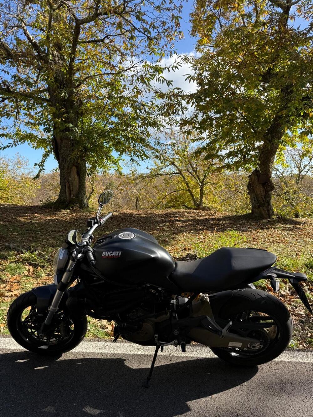 Ducati Monster 821 Dark ABS (2014 - 16) (6)