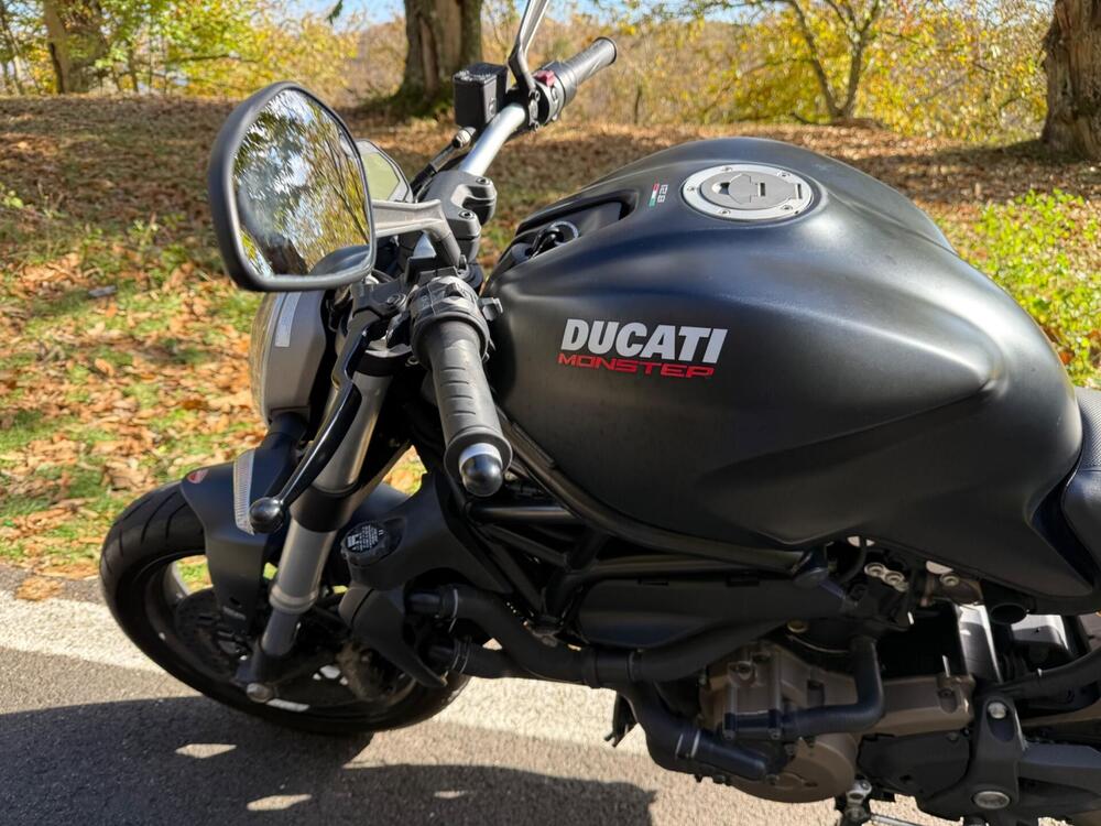 Ducati Monster 821 Dark ABS (2014 - 16) (7)