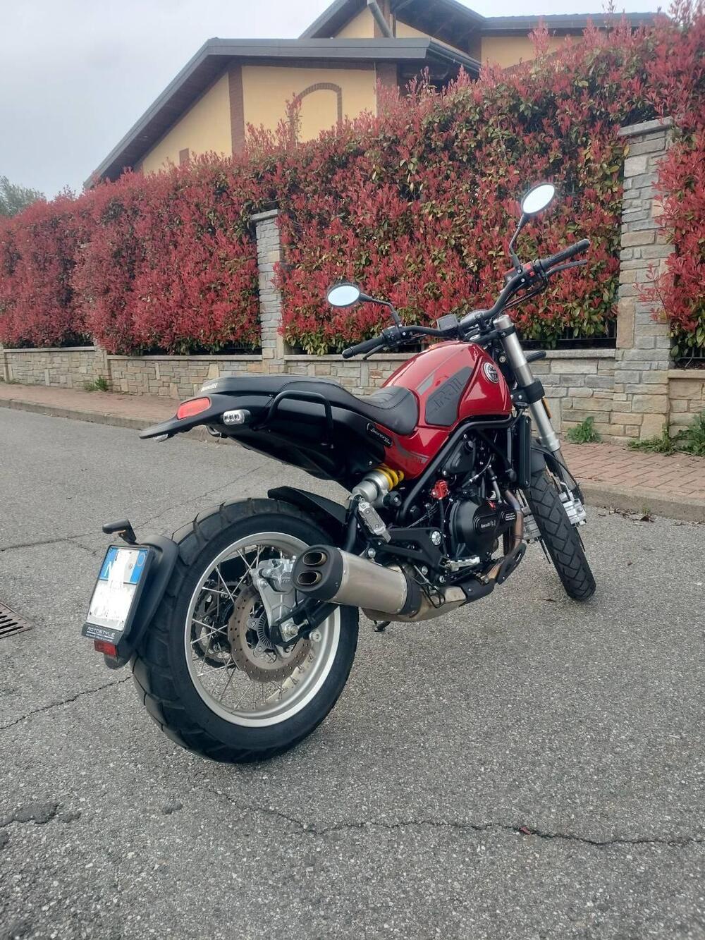 Benelli Leoncino 500 Trail (2021 - 26) (6)