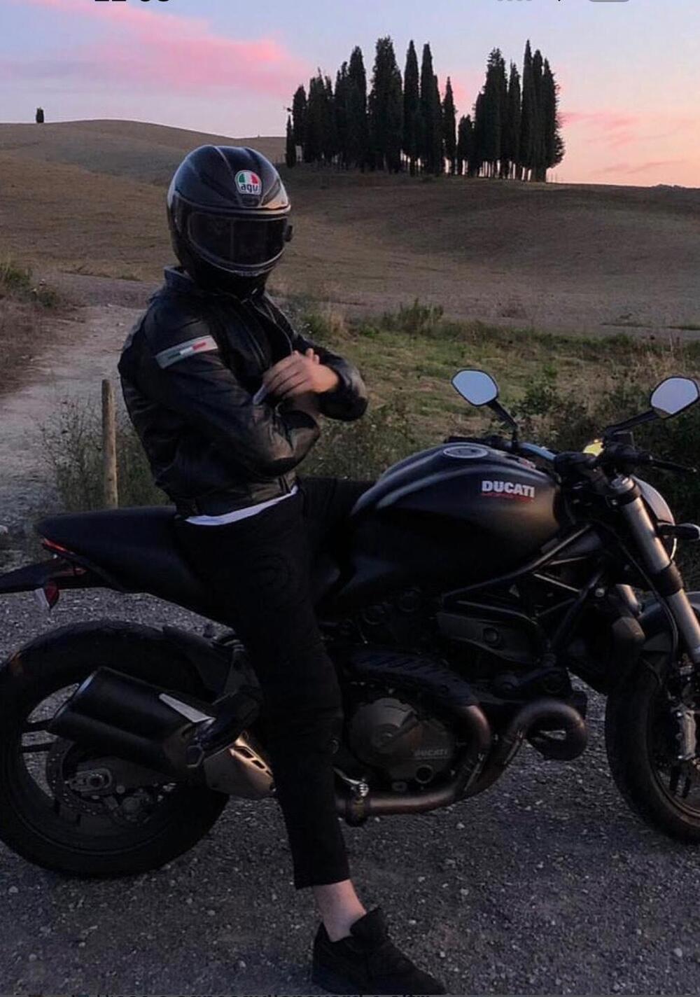 Ducati Monster 821 Dark ABS (2014 - 16) (2)