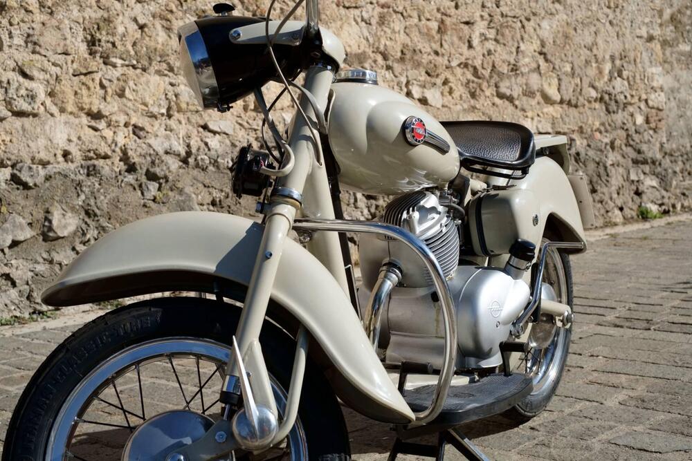 Motom DELFINO 160 (5)