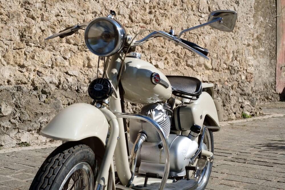 Motom DELFINO 160 (6)