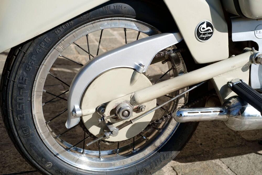 Motom DELFINO 160 (9)