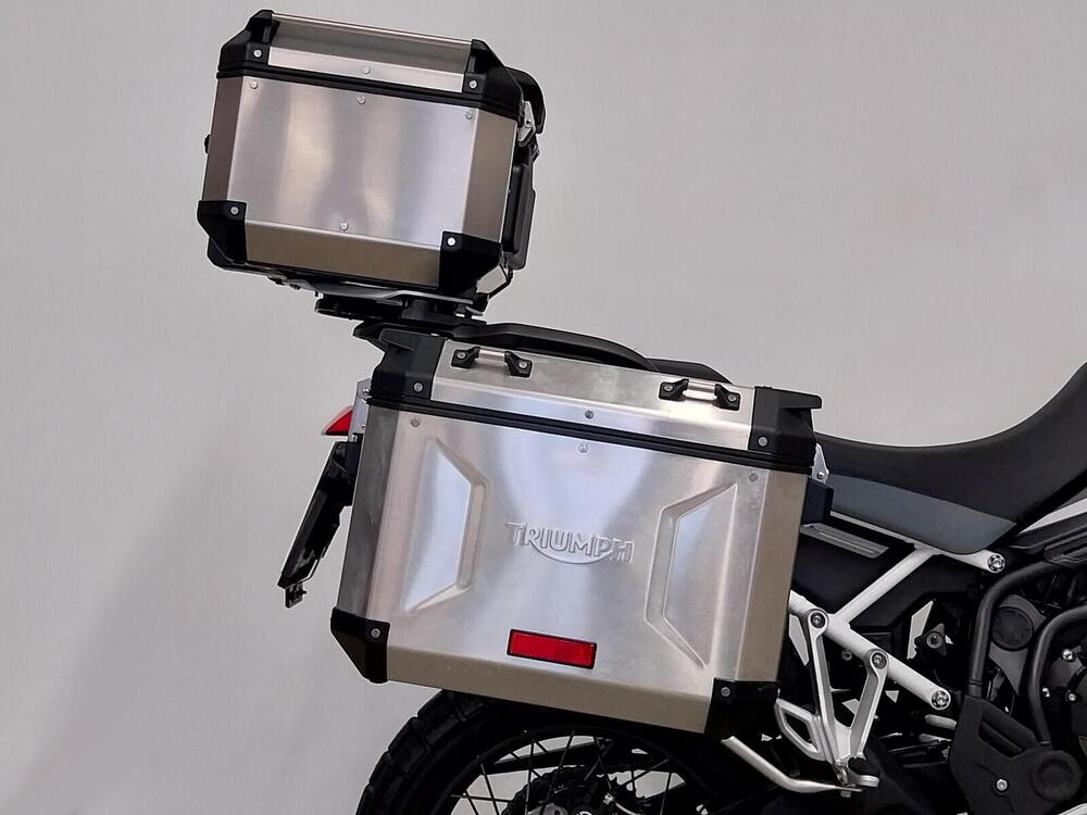 Triumph Tiger 900 GT Aragón Edition (2023 - 24) (6)