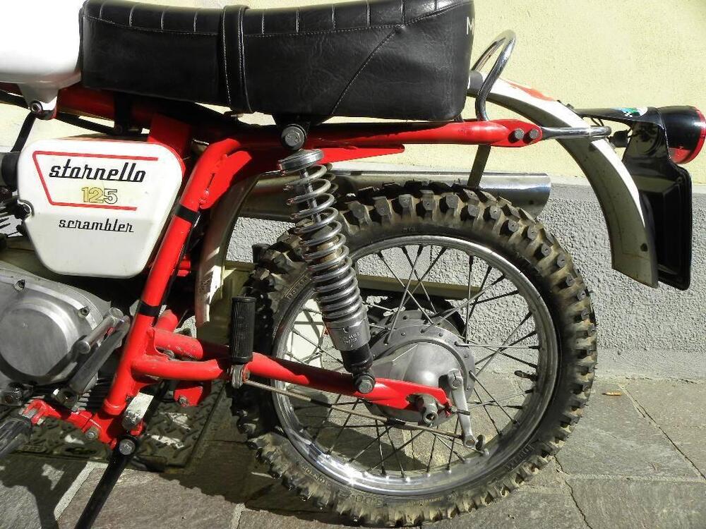 Moto Guzzi Stornello Scrambler 125 (14)
