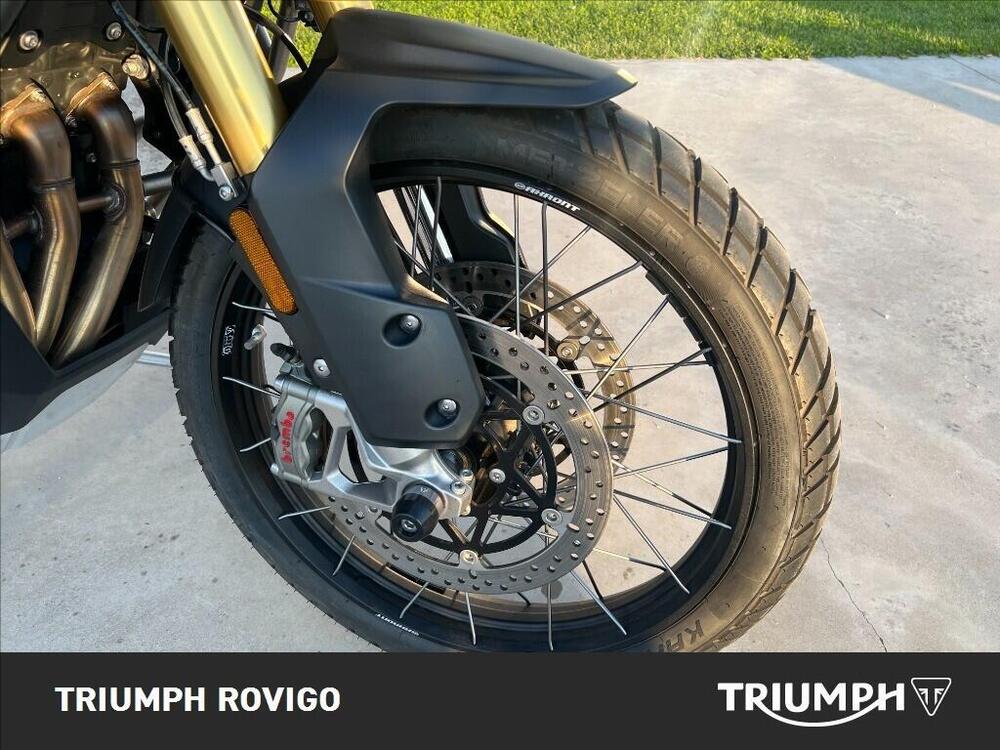 Triumph Tiger 1200 Rally Pro (2024 - 26) (3)