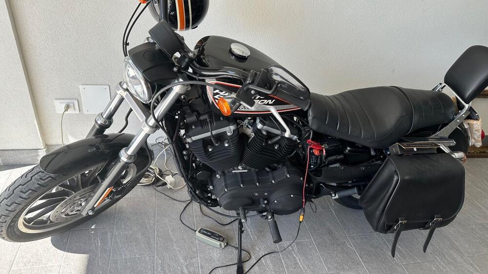 Harley-Davidson 883 (2008 - 09) - XL