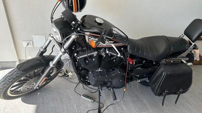 Harley-Davidson 883 (2008 - 09) - XL usata