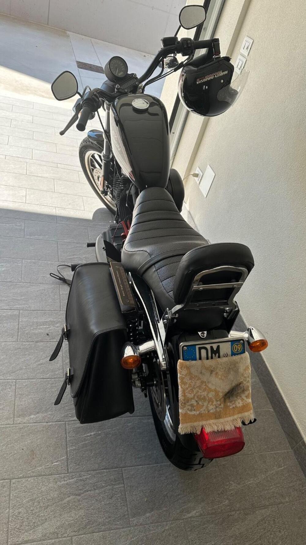 Harley-Davidson 883 (2008 - 09) - XL (2)