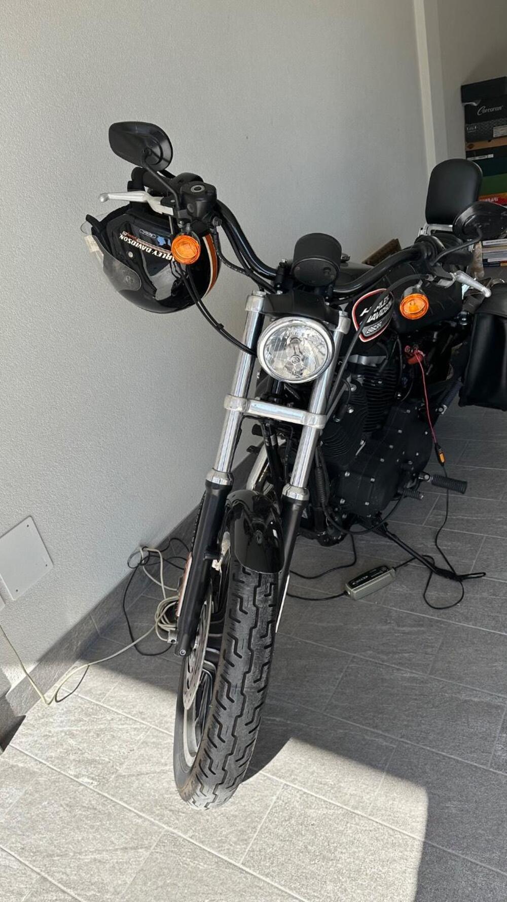 Harley-Davidson 883 (2008 - 09) - XL (5)