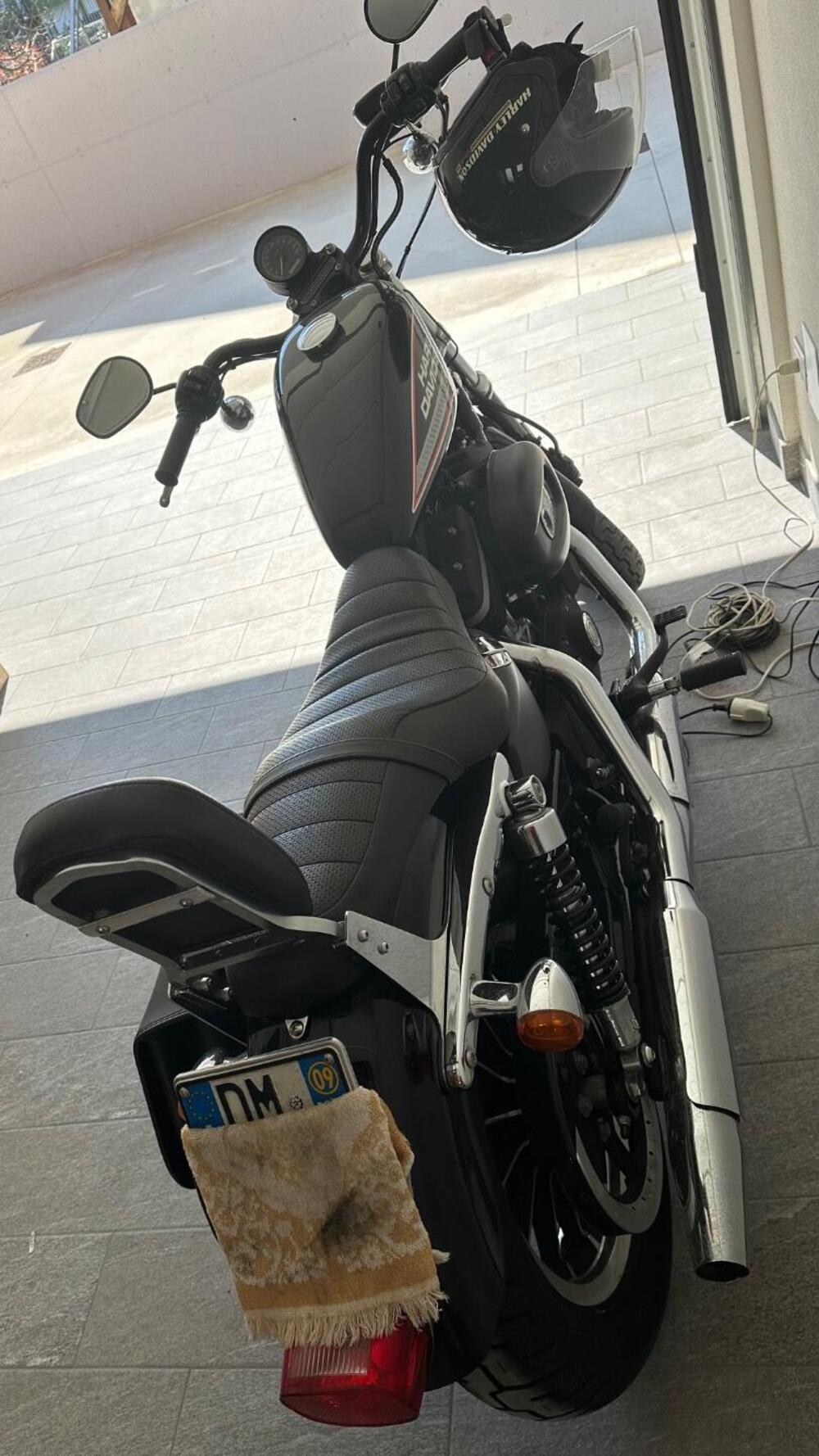 Harley-Davidson 883 (2008 - 09) - XL (6)