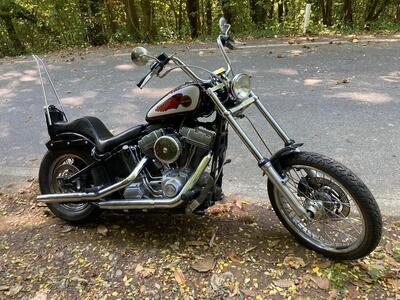 Harley-Davidson 1450 Standard (2002 - 05) - FXSTI usata