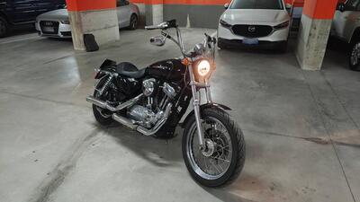 Harley-Davidson 883 (2006 - 07) - XL usata