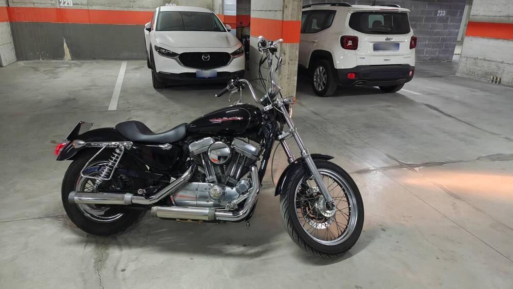 Harley-Davidson 883 (2006 - 07) - XL (2)