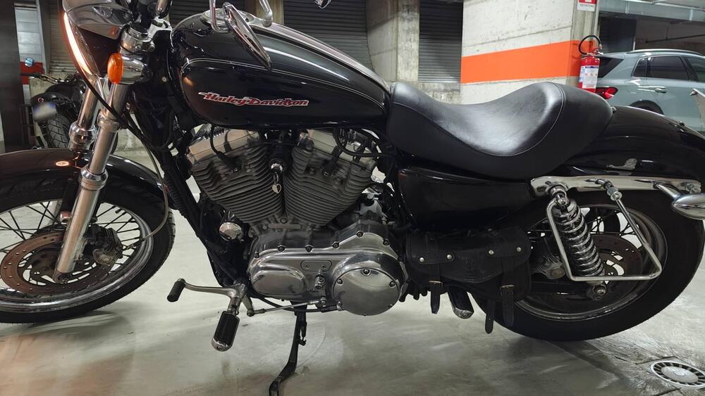 Harley-Davidson 883 (2006 - 07) - XL (4)