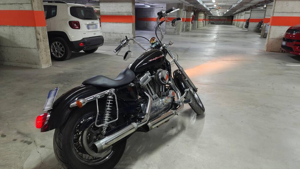 Harley-Davidson 883 (2006 - 07) - XL (7)
