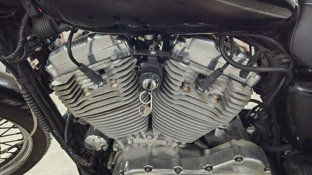 Harley-Davidson 883 (2006 - 07) - XL (10)