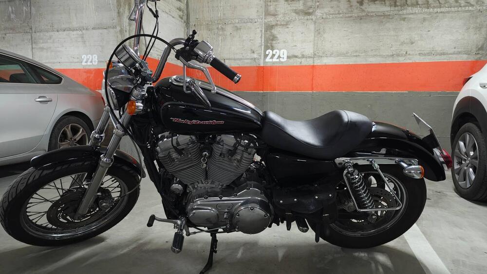 Harley-Davidson 883 (2006 - 07) - XL (11)