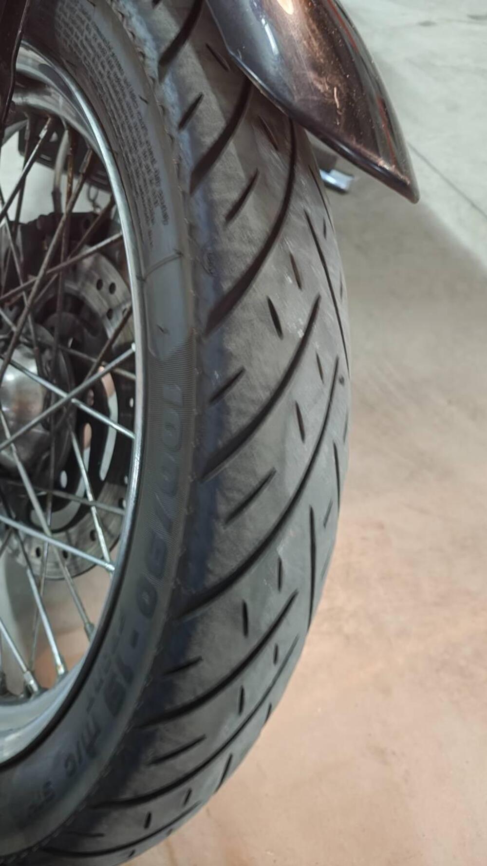 Harley-Davidson 883 (2006 - 07) - XL (13)