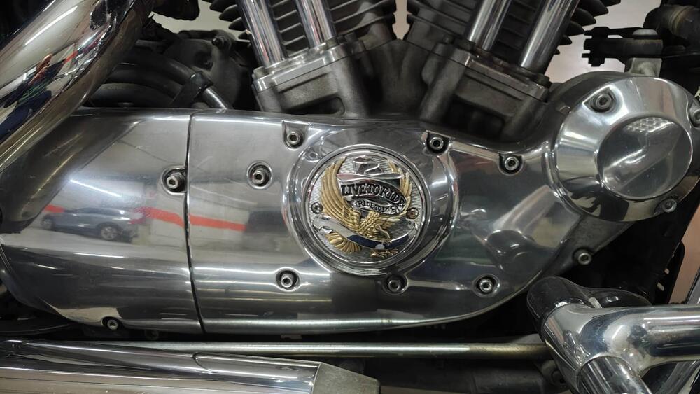 Harley-Davidson 883 (2006 - 07) - XL (14)