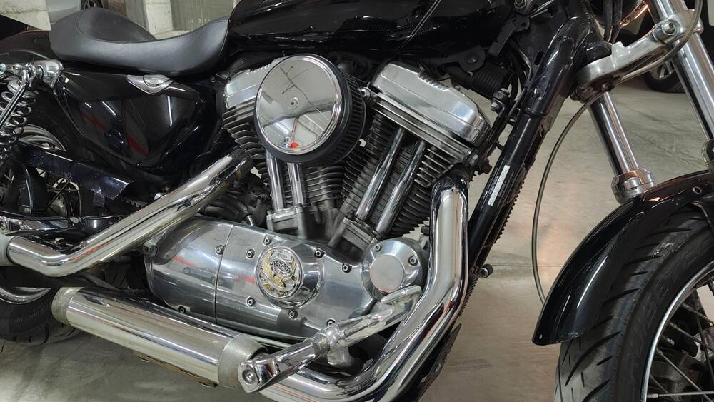 Harley-Davidson 883 (2006 - 07) - XL (17)