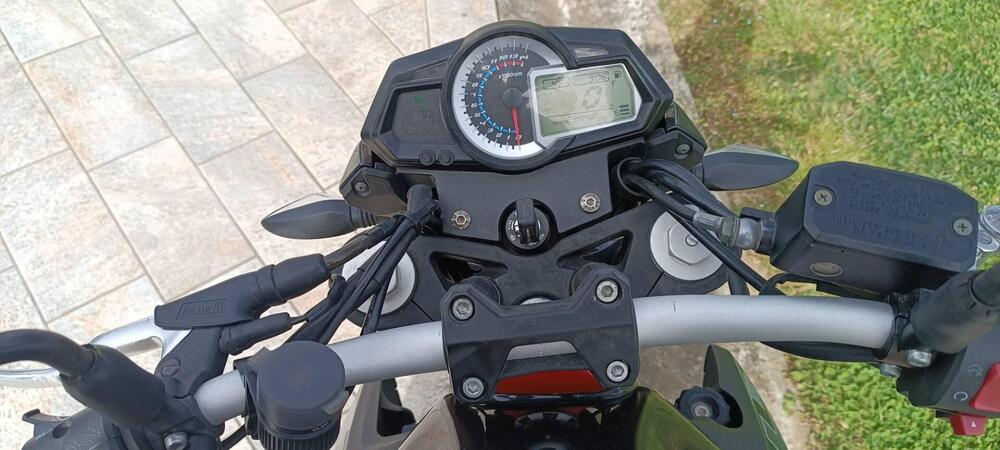 Benelli BN 302 R (2017 - 20) (2)