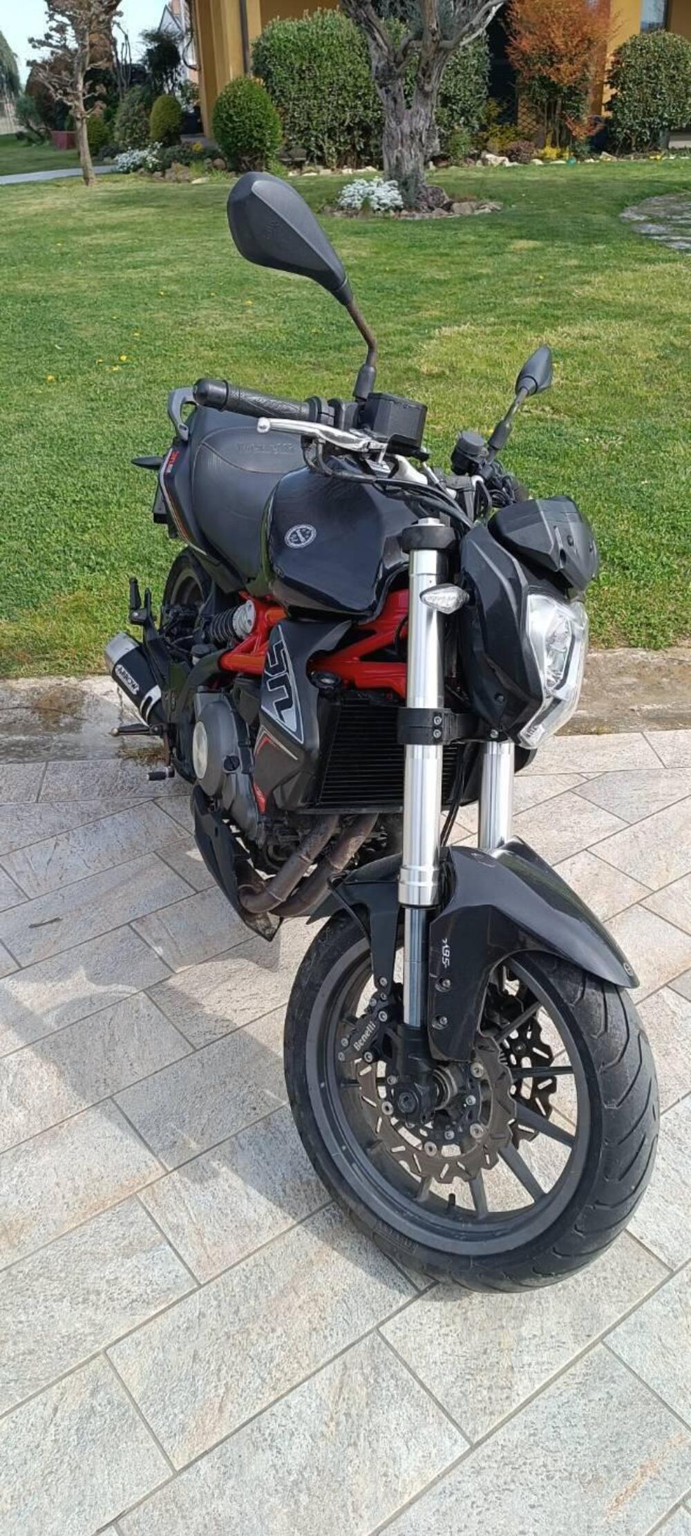 Benelli BN 302 R (2017 - 20) (4)