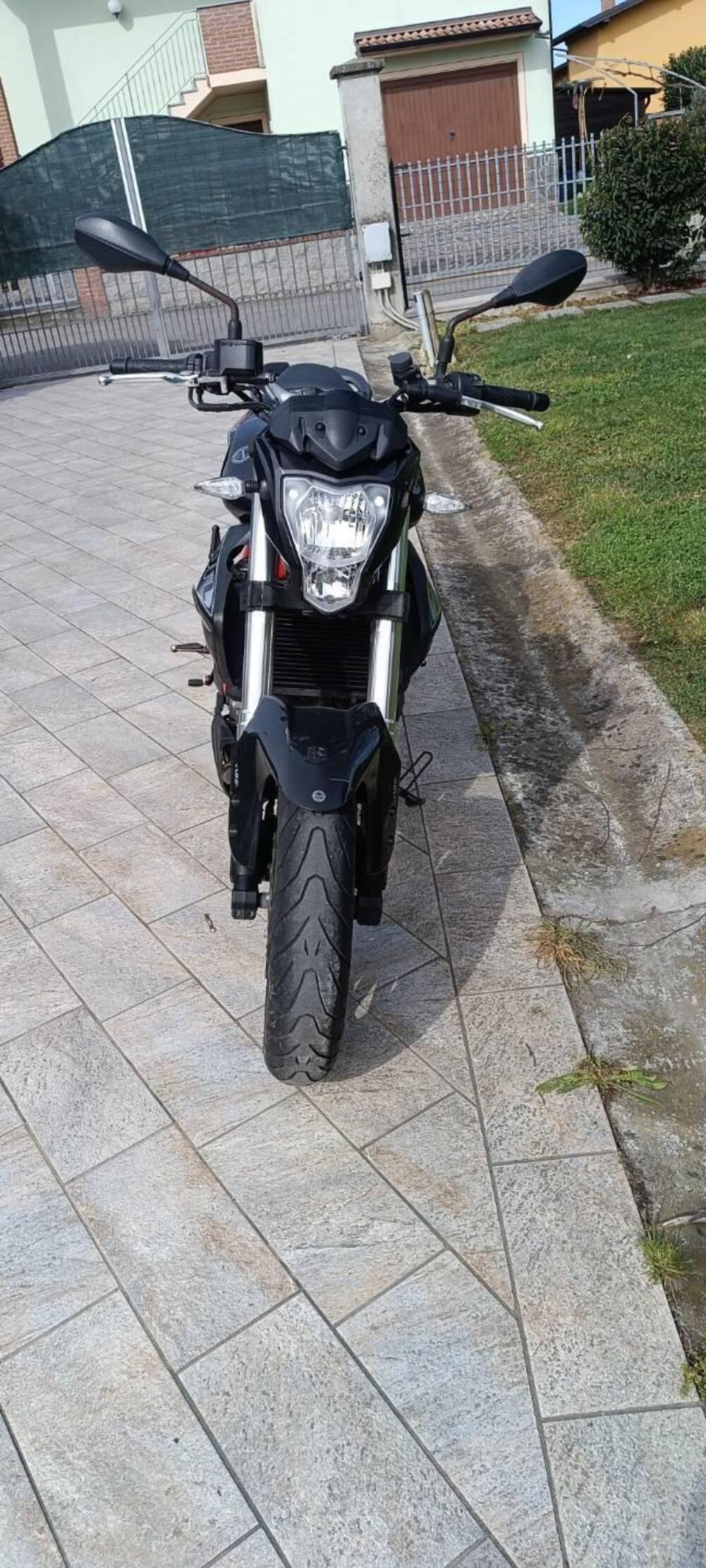 Benelli BN 302 R (2017 - 20) (6)