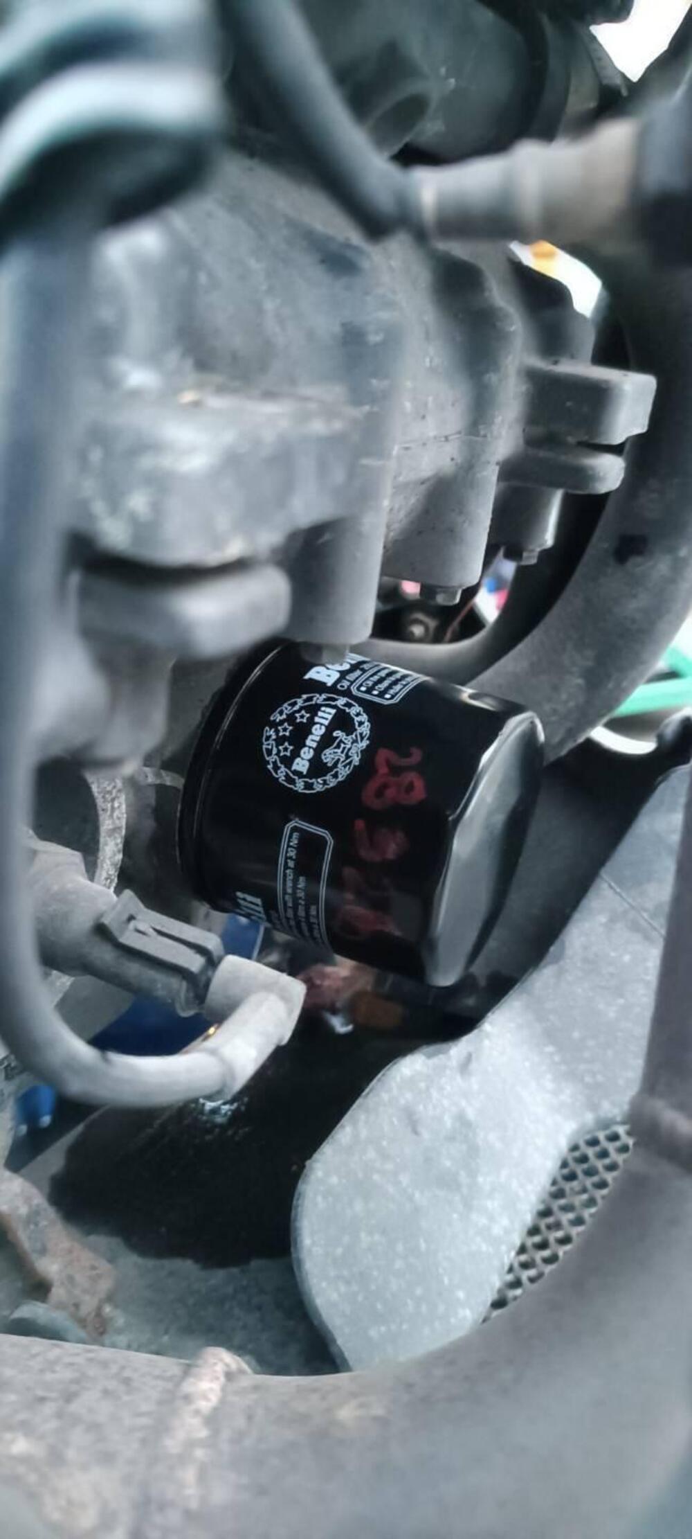 Benelli BN 302 R (2017 - 20) (8)