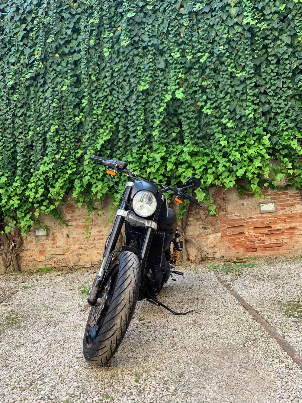 Harley-Davidson 1200 XR X (2010 - 12) (4)