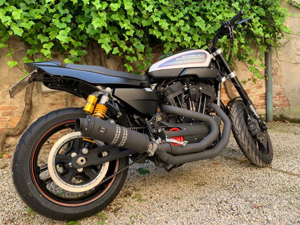 Harley-Davidson 1200 XR X (2010 - 12) (6)